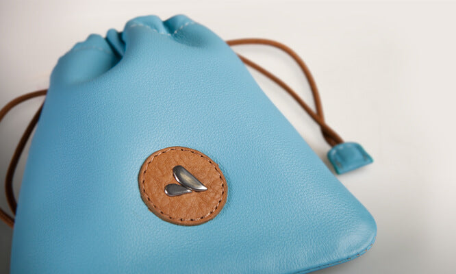 Lucky Leather Bag